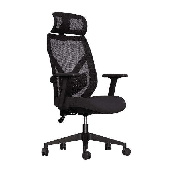 Cadeira Ergonômica Elements Albari, Preto