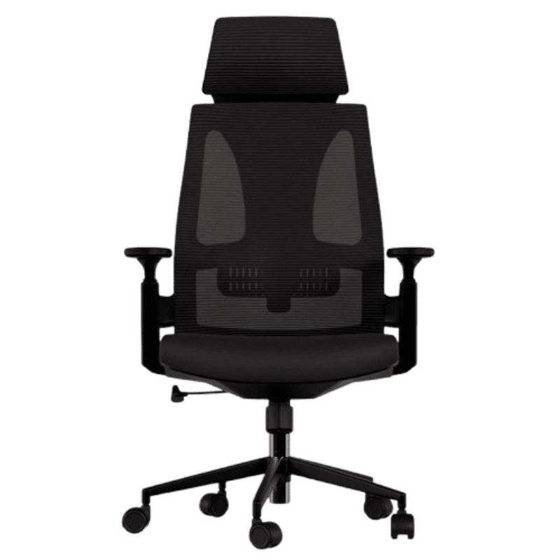 Cadeira Ergonômica Elements Helene Special - Preta