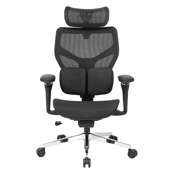 Cadeira Ergonômica DT3 ErgoStance, Preto