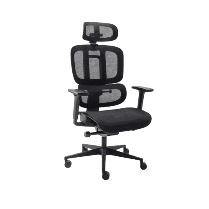 Cadeira Ergonômica Elements Sophy - Preto