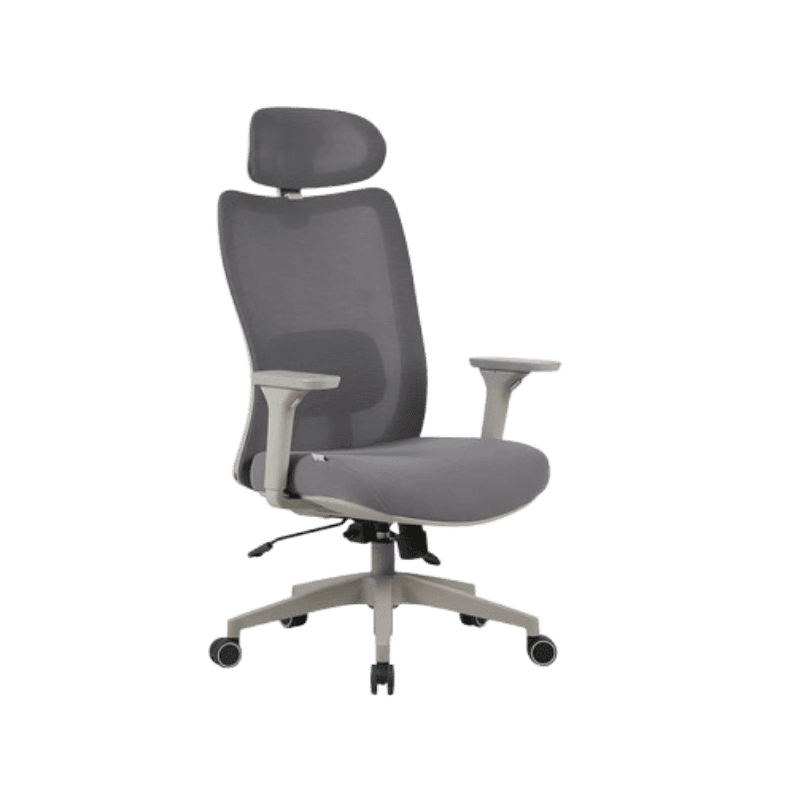 Cadeira Ergonômica Elements Astra Pro