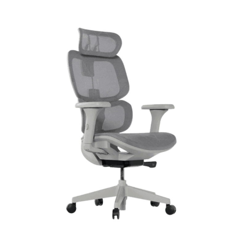 Cadeira Ergonômica Elements Siggy