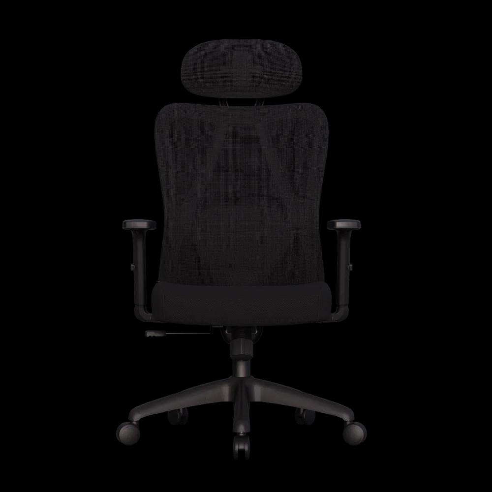Cadeira Ergonômica Elements Samaia, Preto