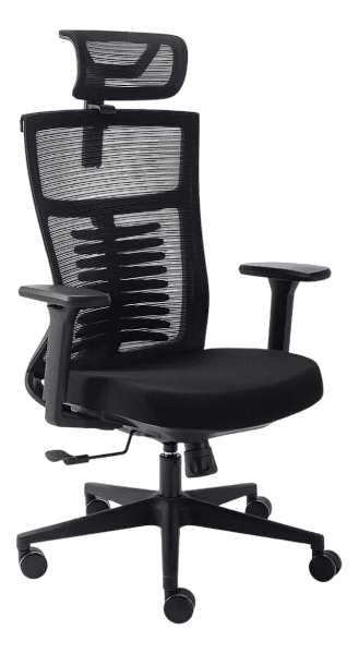 Cadeira Ergonômica Elements Vertta - Preto